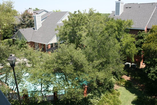 Tallow Wood Apartments